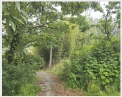  2025Ÿ��749 ��� û���� ������ ��� 638-1      ����(������)���