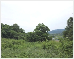  2025Ÿ��749 ��� û���� ������ ��� 638-1      ����(������)���