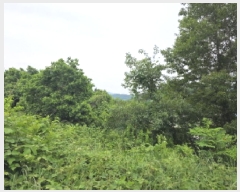  2025Ÿ��749 ��� û���� ������ ��� 638-1      ����(������)���