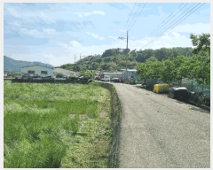  2025Ÿ��775 ��� û���� �̼��� ���ݸ� 580      ����(��)���