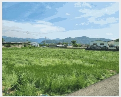  2025Ÿ��775 ��� û���� �̼��� ���ݸ� 580      ����(��)���