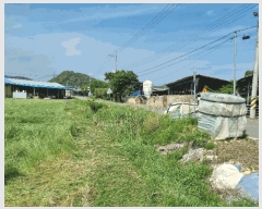  2025Ÿ��775 ��� û���� �̼��� ���ݸ� 580      ����(��)���