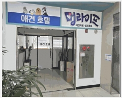  2025Ÿ��841  �ٸ��󰡰��