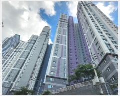  2025Ÿ��874  ����Ʈ���