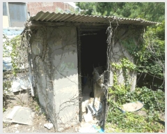  2025Ÿ��925  ���ð��