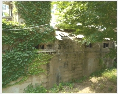  2025Ÿ��925  ���ð��