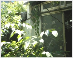  2025Ÿ��925  ���ð��