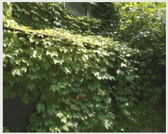  2025Ÿ��925  ���ð��