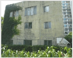  2025Ÿ��925  ���ð��