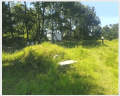  2025Ÿ��993  �����