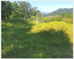  2025Ÿ��993  �����