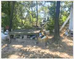  2025Ÿ��993  �����