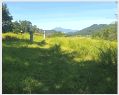  2025Ÿ��993  �����