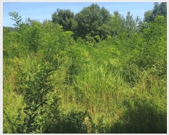  2025Ÿ��993  �����