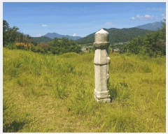  2025Ÿ��993  �����