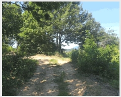  2025Ÿ��993  �����