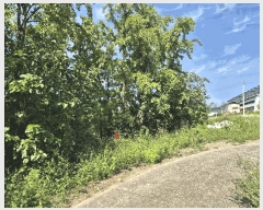  2025Ÿ��1047 ��� ���� ������ ��縮 1070-1      ����(��)���