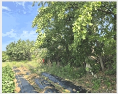  2025Ÿ��1047 ��� ���� ������ ��縮 1070-1      ����(��)���