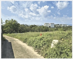  2025Ÿ��1047 ��� ���� ������ ��縮 1070-1      ����(��)���