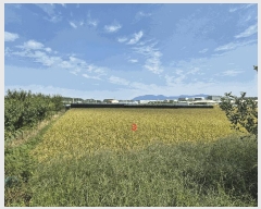  2025Ÿ��1047 ��� ���� ������ ��縮 1070-1      ����(��)���