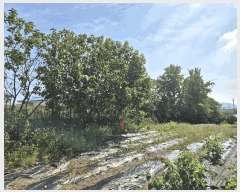  2025Ÿ��1047 ��� ���� ������ ��縮 1070-1      ����(��)���