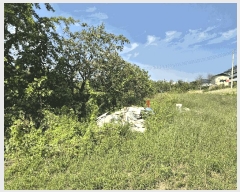  2025Ÿ��1047 ��� ���� ������ ��縮 1070-1      ����(��)���