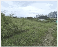  2025Ÿ��1082 ��� ���� ������ ��ȸ�� 796      ����(��)���