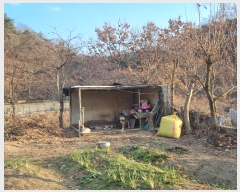  2025Ÿ��5186 �뱸 ������ ��õ�� 563       ���ð��