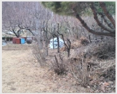  2025Ÿ��5186 �뱸 ������ ��õ�� 563       ���ð��