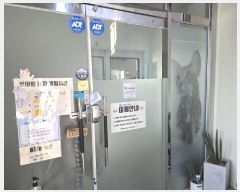  2025Ÿ6134  õ ܵ 126-8       ٸü,󰡰