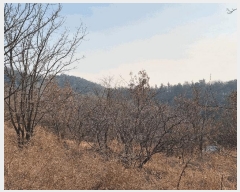  2025Ÿ6462  õ â  13-1      (Ӿ)