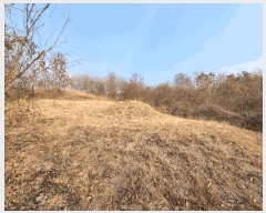  2025Ÿ6462  õ â  13-1      (Ӿ)