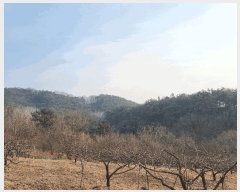  2025Ÿ6462  õ â  13-1      (Ӿ)