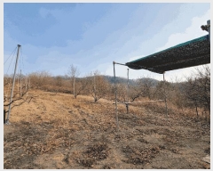  2025Ÿ6462  õ â  13-1      (Ӿ)