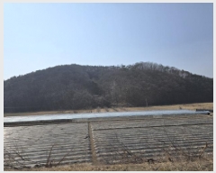  2025Ÿ6462  õ â  13-1      (Ӿ)