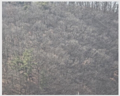  2025Ÿ6462  õ â  13-1      (Ӿ)