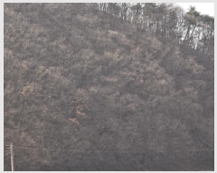  2025Ÿ6462  õ â  13-1      (Ӿ)