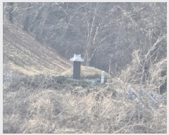  2025Ÿ6462  õ â  13-1      (Ӿ)