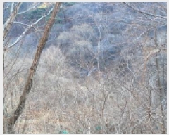  2025Ÿ6790  û  ϸ 695      (1)