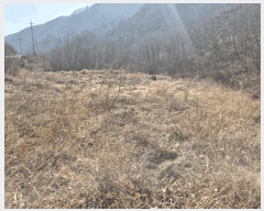  2025Ÿ7253  õ ȭ 踮 424      ()