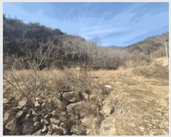  2025Ÿ7253  õ ȭ 踮 424      ()