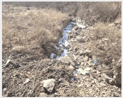  2025Ÿ7253  õ ȭ 踮 424      ()