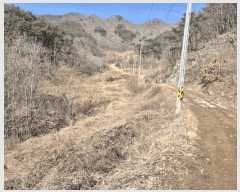  2025Ÿ7253  õ ȭ 踮 424      ()