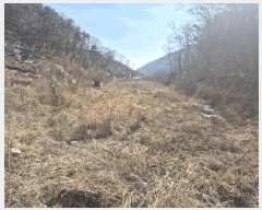  2025Ÿ7253  õ ȭ 踮 424      ()