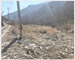  2025Ÿ7253  õ ȭ 踮 424      ()