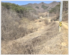  2025Ÿ7253  õ ȭ 踮 424      ()