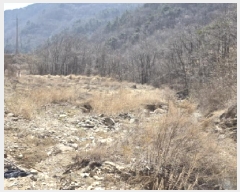  2025Ÿ7253  õ ȭ 踮 424      ()