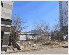  2025Ÿ7317  ĥ  ߸ 646-15      ()