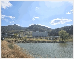  2025Ÿ��7348 ��� û���� ȭ���� ��� 619      �������