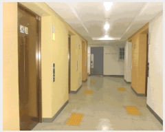  2025Ÿ7414 뱸  λ굿 87-2 켾׶ 131305ȣ     ǽڰ